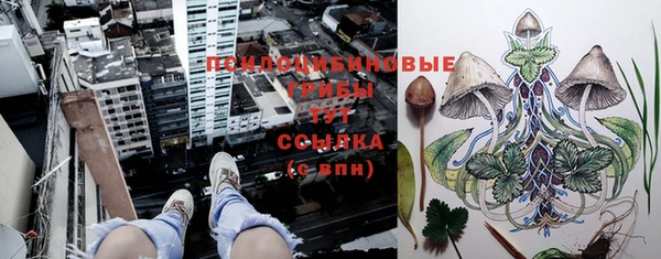 MESCALINE Балахна