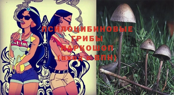 метадон Баксан