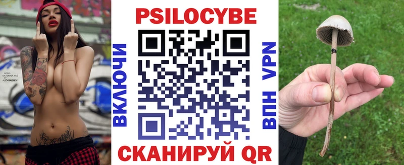 купить  цена  Новотитаровская  Галлюциногенные грибы GOLDEN TEACHER 