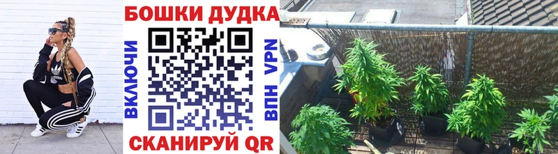 МАРИХУАНА план  Новотитаровская 